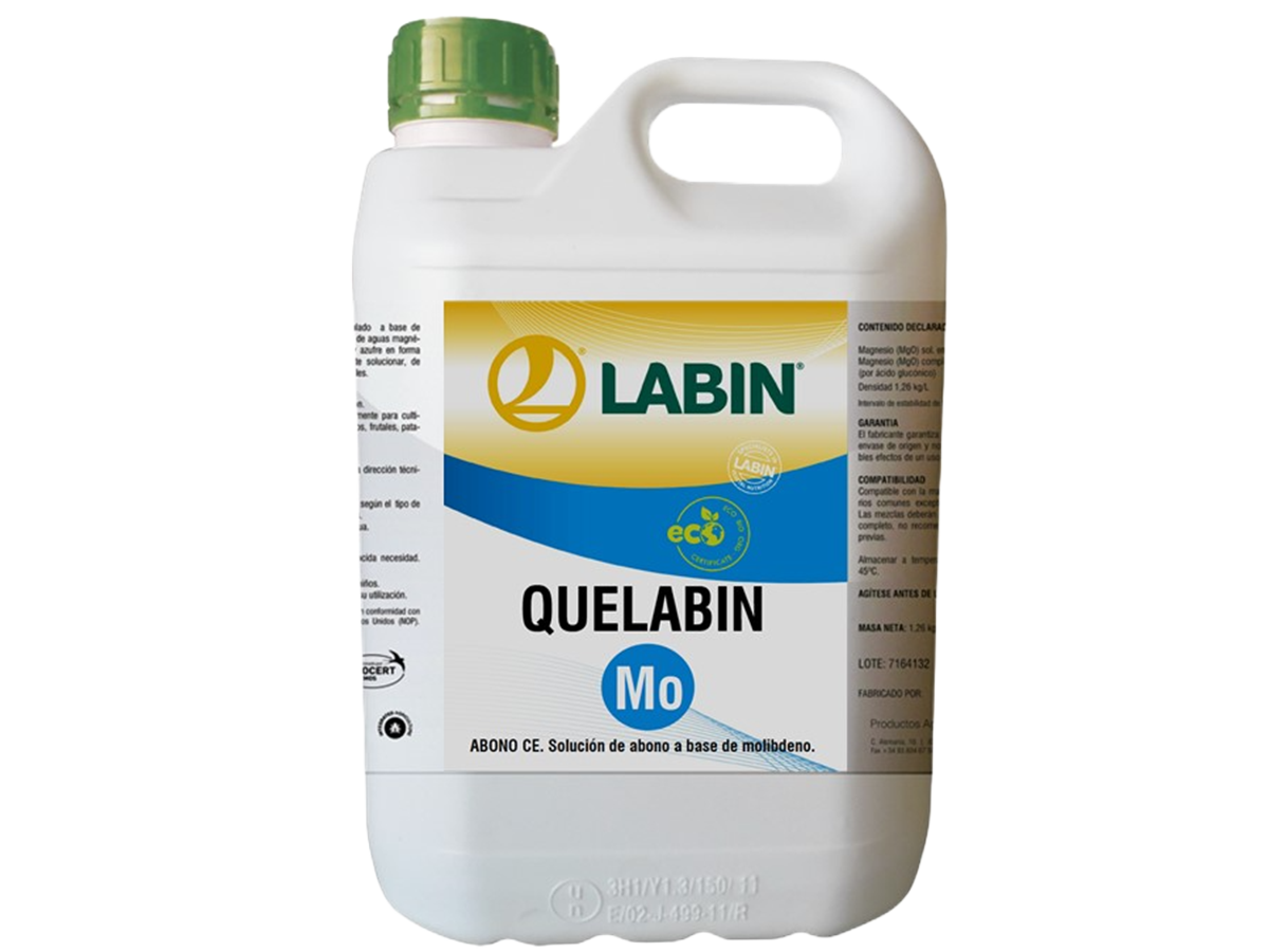 QUELABIN Mo